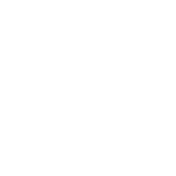 Finsider
